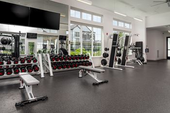 Cardio and strength training fitness center